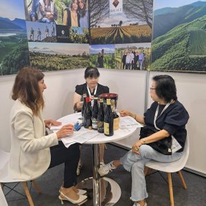TEZZA HERMITAGE SG TEZZA HERMITAGE SG